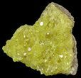 Sulfur Crystals on Matrix - Bolivia #51585-2